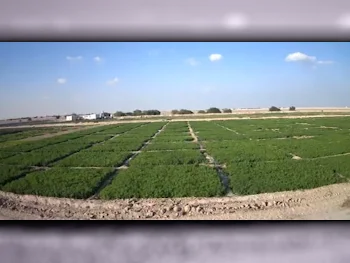 مزارع و منتجعات غير مفروشة  أم صلال  1 غرف نوم