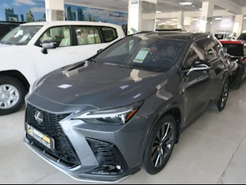 Lexus  NX  300 F Sport  2024  Automatic  17,000 Km  4 Cylinder  Four Wheel Drive (4WD)  SUV  Gray  With Warranty