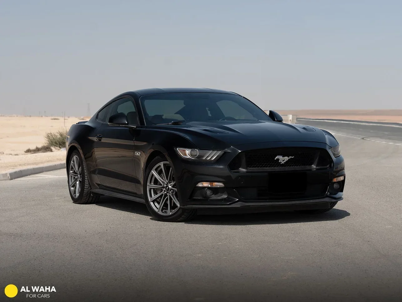 Ford  Mustang  GT  2016  Automatic  96,000 Km  8 Cylinder  Rear Wheel Drive (RWD)  Coupe / Sport  Black