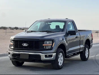 Ford  F  150  2024  Automatic  0 Km  8 Cylinder  Four Wheel Drive (4WD)  Pick Up  Gray  With Warranty