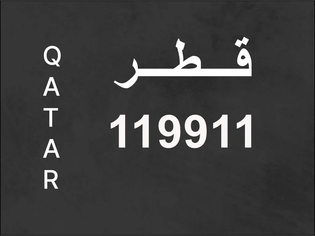 رقم نقل خاص  119911