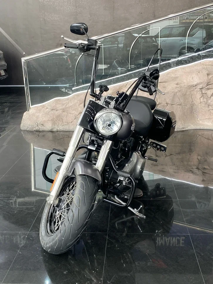 Harley Davidson  Softail -  2015 - Color Silver