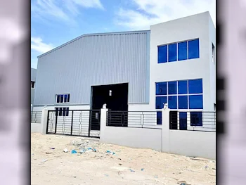 Warehouses & Stores - Al Wakrah  - Barkit Al Awamer  -Area Size: 1000 Square Meter