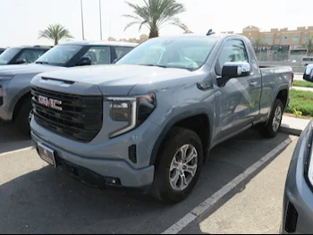 GMC  Sierra  1500  2024  Automatic  0 Km  8 Cylinder  Four Wheel Drive (4WD)  Pick Up  Gray Matte  With Warranty