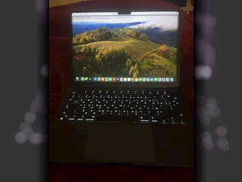 Laptops Apple  - MacBook Air  2024  - Grey  - MacOS  - Apple  - M2  -Memory (Ram): 8 GB