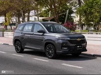 Chevrolet  Captiva LT  SUV 2x4  Grey  2024