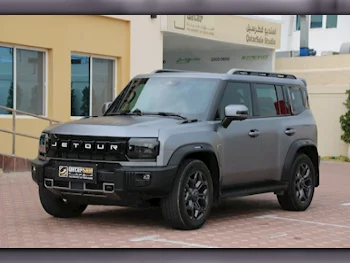 Jetour  T2  2024  Automatic  37,600 Km  4 Cylinder  Four Wheel Drive (4WD)  SUV  Gray  With Warranty