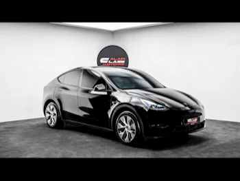 Tesla  Model Y  Long Range  2023  Automatic  93,703 Km  0 Cylinder  All Wheel Drive (AWD)  SUV  Black