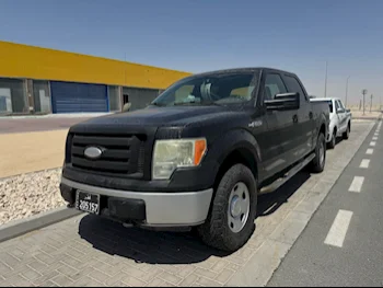 Ford  F  150  2009  Automatic  178,000 Km  8 Cylinder  Four Wheel Drive (4WD)  Pick Up  Black