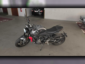 Triumph  Speed Triple -  2022 - Color Gray