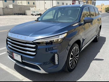 Exeed  VX  400 T  2023  Automatic  10,500 Km  4 Cylinder  All Wheel Drive (AWD)  SUV  Blue  With Warranty