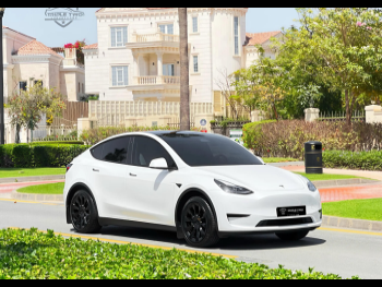 Tesla  Model Y  2024  Automatic  16,400 Km  0 Cylinder  Four Wheel Drive (4WD)  SUV  White
