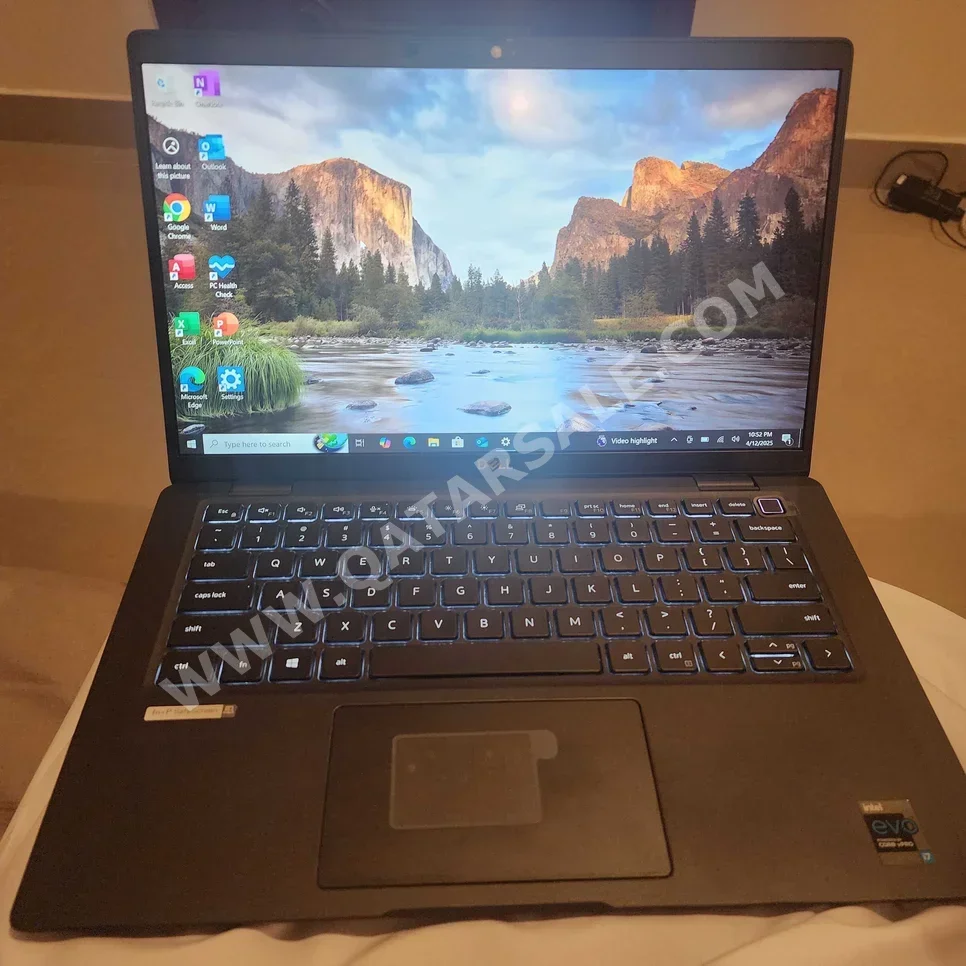 Laptops Dell  - Latitude  2021  - Grey  - Windows 10  - Intel  - Core i7  -Memory (Ram): 32 GB