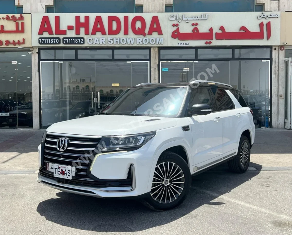  تشانجان  سي اس  95  2022  اوتوماتيك  52,000 كم  4 سلندر  دفع رباعي  اس يو في  أبيض  تحت الضمان