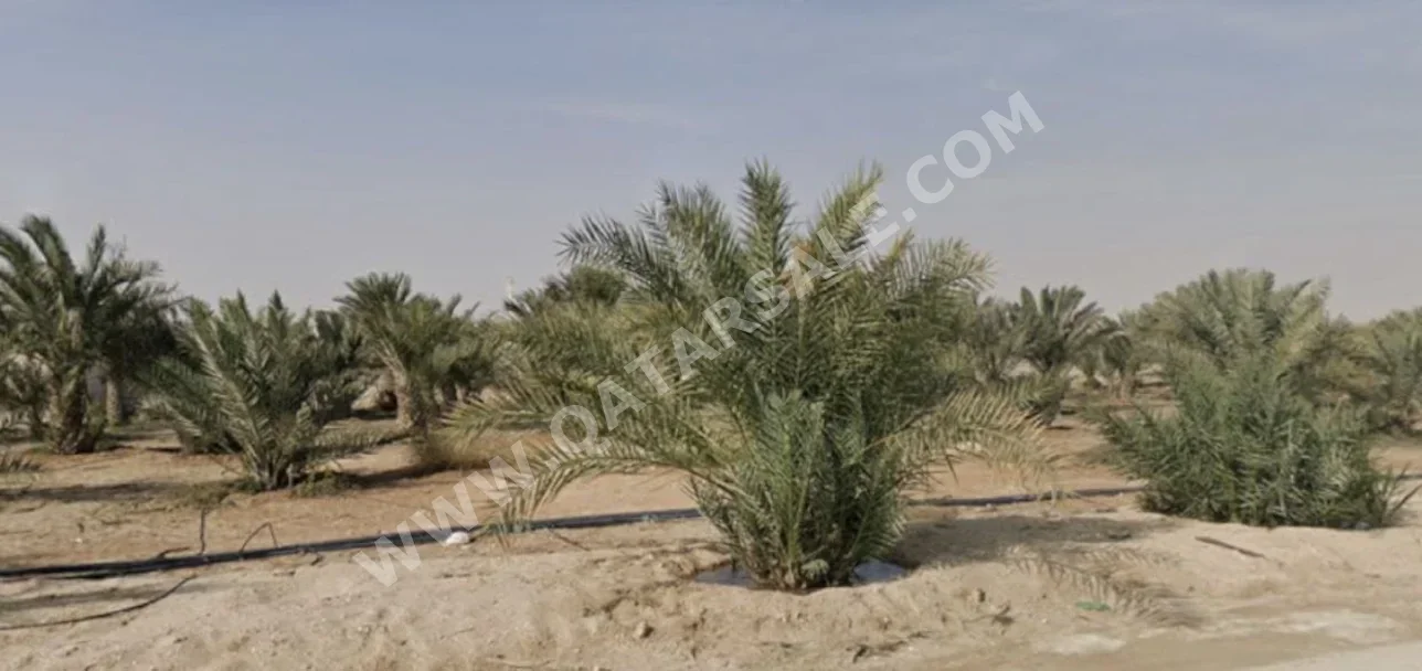 Lands For Sale in Umm Salal  - Umm Salal Ali  -Area Size 175,000 Square Meter