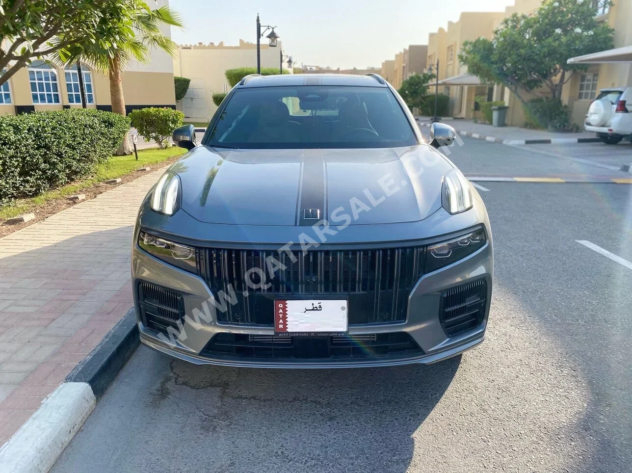 Lynk & Co  09  Halo  2024  Automatic  9,800 Km  4 Cylinder  All Wheel Drive (AWD)  SUV  Gray  With Warranty