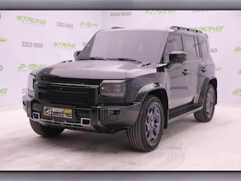 Jetour  T2  2024  Automatic  34,000 Km  4 Cylinder  Four Wheel Drive (4WD)  SUV  Black