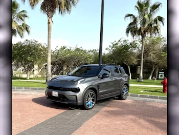 Lynk & Co  01  Louder Pro  2024  Automatic  24,500 Km  4 Cylinder  All Wheel Drive (AWD)  Hatchback  Gray  With Warranty
