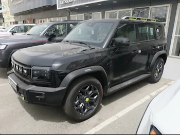 Jetour  T2  2025  Automatic  0 Km  4 Cylinder  Four Wheel Drive (4WD)  SUV  Black  With Warranty