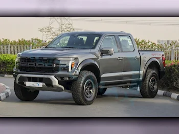 Ford  F  150  2024  Automatic  0 Km  6 Cylinder  Four Wheel Drive (4WD)  Pick Up  Gray  With Warranty
