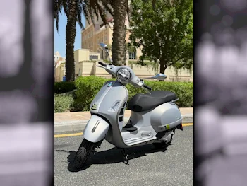 فيسبا  جي اتس اس سوبر سبورت 300 -  2024 - اللون فضي -  الضمان