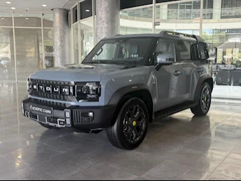 Jetour  T2  2024  Automatic  9,000 Km  4 Cylinder  Four Wheel Drive (4WD)  SUV  Gray  With Warranty