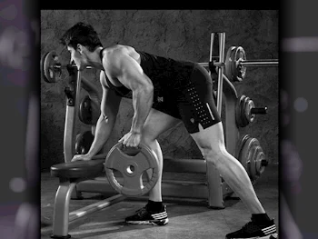 Sports/Exercises Equipment - Weight Bench  - Grey