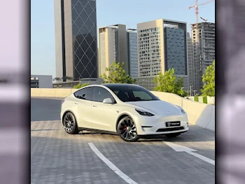 Tesla  Model Y  Performance  2024  Automatic  3,200 Km  0 Cylinder  All Wheel Drive (AWD)  Sedan  White  With Warranty