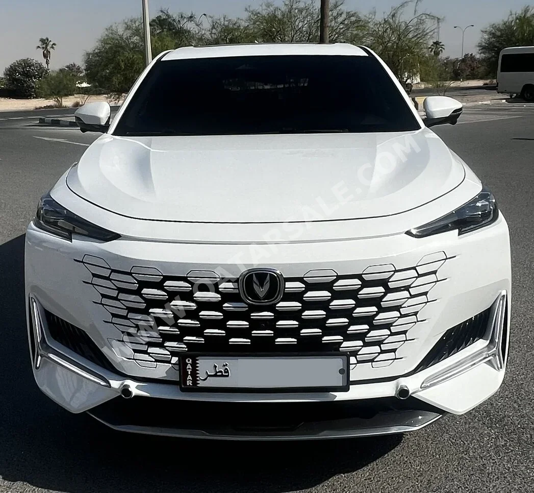 تشانجان  يوني - كي  2024  اوتوماتيك  58,500 كم  4 سلندر  دفع كلي مستمر  اس يو في  أبيض  تحت الضمان