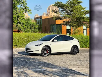 Tesla  Model Y  Performance  2024  Automatic  14,700 Km  0 Cylinder  All Wheel Drive (AWD)  Sedan  White  With Warranty
