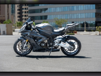 BMW  S1000 RR -  2015 - Color Gray