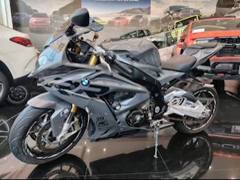BMW  S1000 RR -  2015 - Color Gray