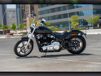 Harley Davidson  Softail -  2023 - Color Black -  Warranty
