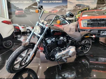 Harley Davidson  Softail -  2023 - Color Black -  Warranty