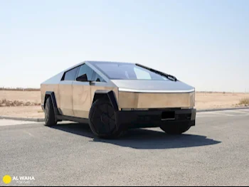 تسلا  سايبر تراك  بيست  2024  اوتوماتيك  70 كم  0 سلندر  دفع رباعي  بيكب  فضي