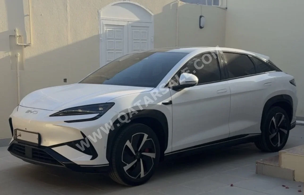 بي واي دي  سي لون  07  2025  اوتوماتيك  19,000 كم  0 سلندر  دفع خلفي  هاتشباك  أبيض