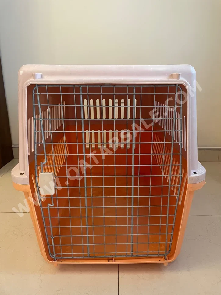 Pet Accessories