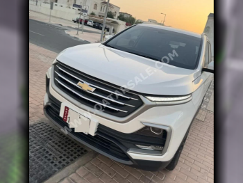 شفروليه  كابتيفا  ال اس  2023  اوتوماتيك  17,000 كم  4 سلندر  سحب امامي  اس يو في  ابيض و رمادي  تحت الضمان