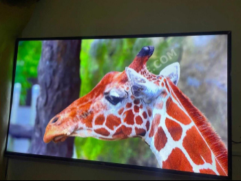 Television (TV) TCL  - 55 Inch  - 4K or UHD  - Smart TV