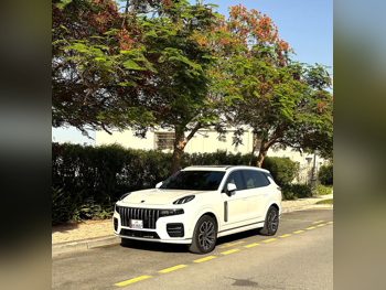 لينك اند كو  09  الترا  2024  اوتوماتيك  30,000 كم  4 سلندر  دفع كلي مستمر  اس يو في  أبيض  تحت الضمان