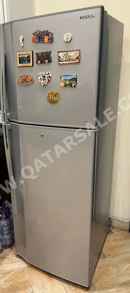Toshiba  Classic Refrigerator  - Gray