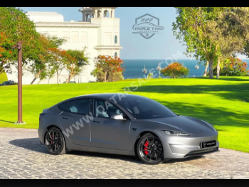 Tesla  Model 3  Performance  2025  Automatic  3,600 Km  0 Cylinder  All Wheel Drive (AWD)  Sedan  Gray  With Warranty