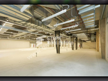 Warehouses & Stores - Al Wakrah  - Barkit Al Awamer  -Area Size: 19420 Square Meter