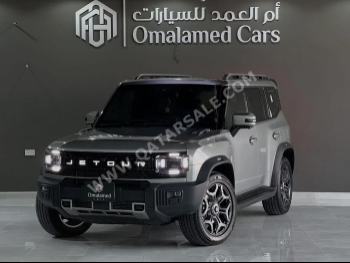 جيتور  تي 2  لكجري  2025  اوتوماتيك  14,500 كم  4 سلندر  دفع رباعي  اس يو في  رمادي  تحت الضمان