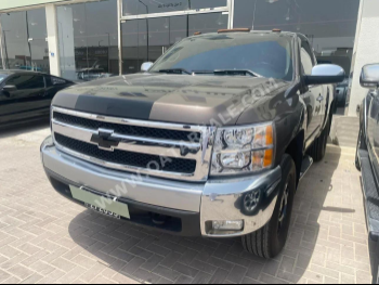 Chevrolet  Silverado  2009  Automatic  328,000 Km  8 Cylinder  Four Wheel Drive (4WD)  Pick Up  Gray