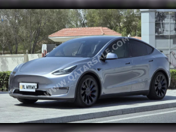 Tesla  Model Y  Performance  2024  Automatic  39,000 Km  0 Cylinder  Four Wheel Drive (4WD)  SUV  Gray  With Warranty