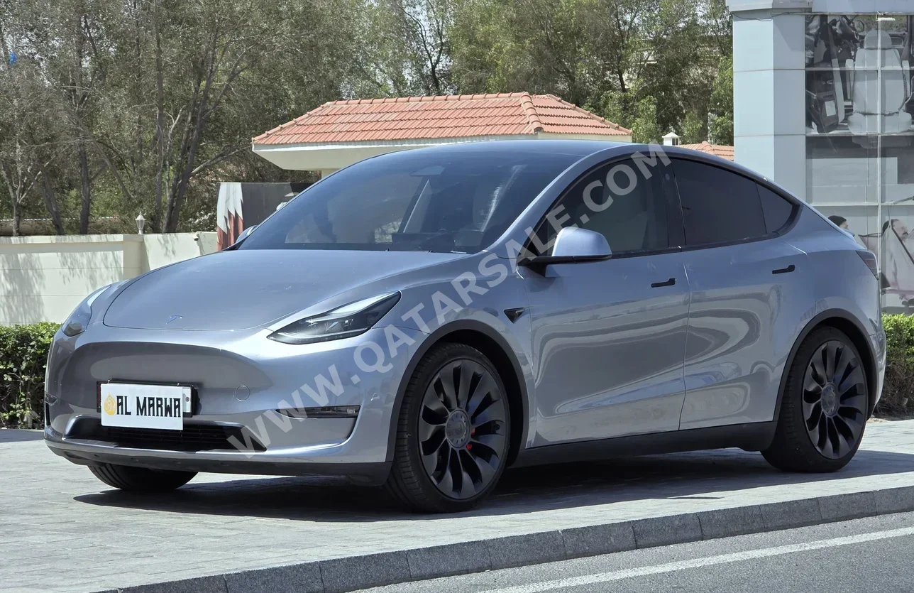 Tesla  Model Y  Performance  2024  Automatic  39,000 Km  0 Cylinder  Four Wheel Drive (4WD)  SUV  Gray  With Warranty