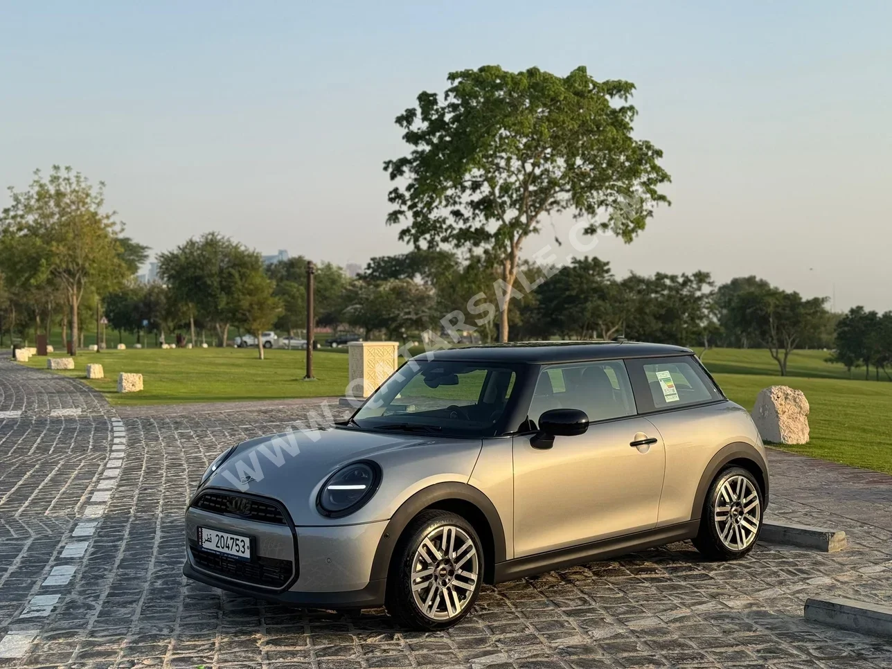 Mini  Cooper  4 Cylinder  Hatchback  Silver  2025