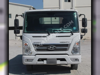 شاحنات هيونداي  اتش دي 65 - اللون أبيض  2021