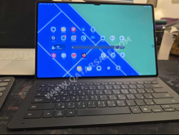 Samsung  Galaxy Tab S  2024 -  256 GB - Connectivity Wi Fi Only